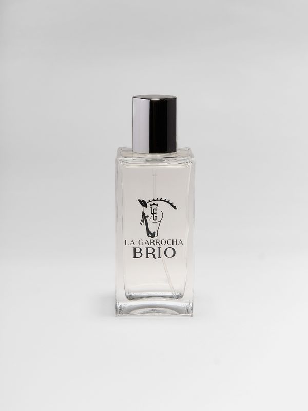 Brío | Perfume for Men and Women
