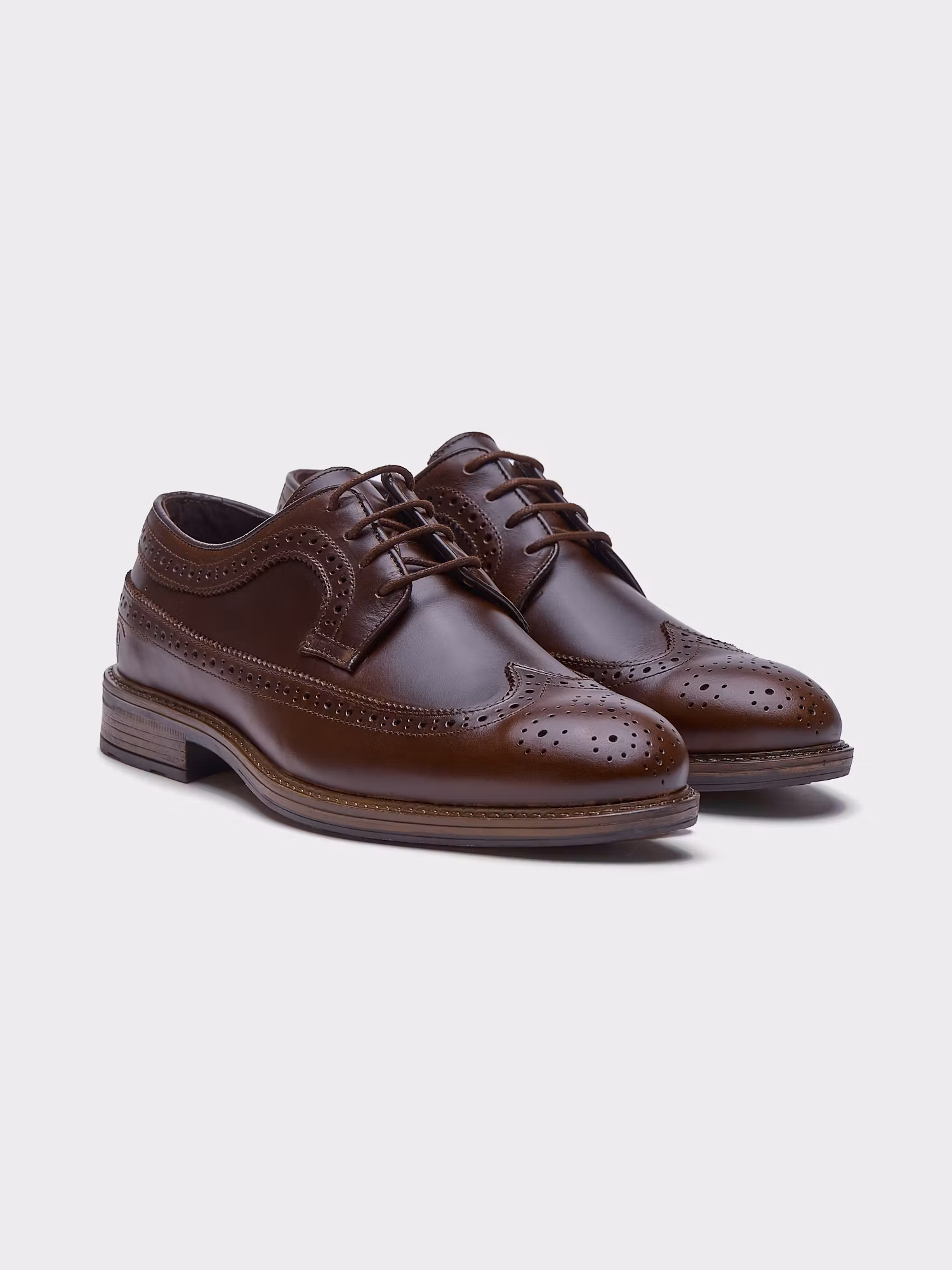Zapato Oxford