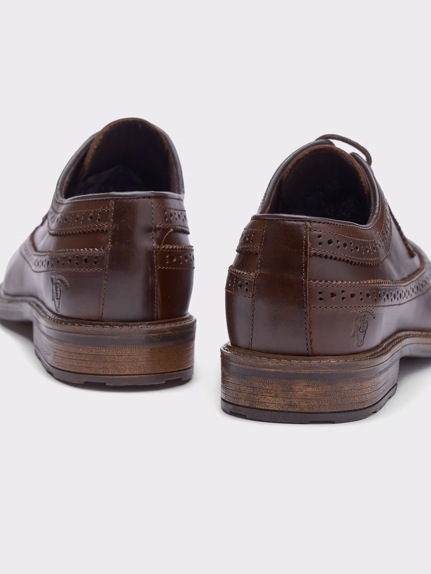 Zapato Oxford