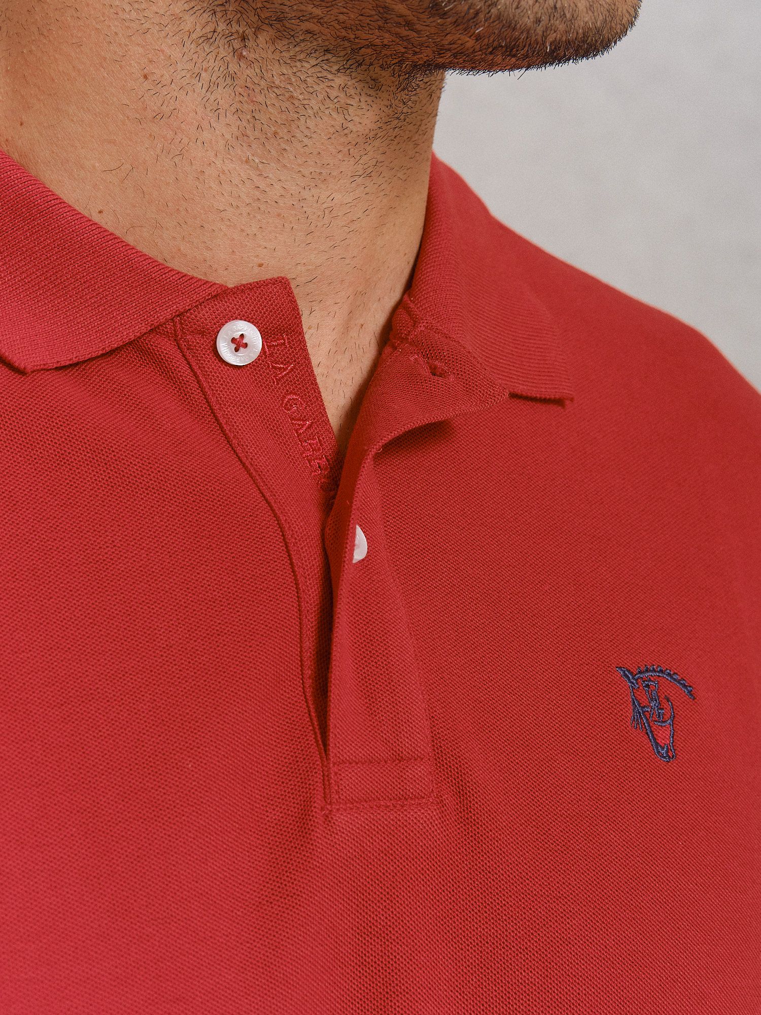 Polo Básico | Sangre