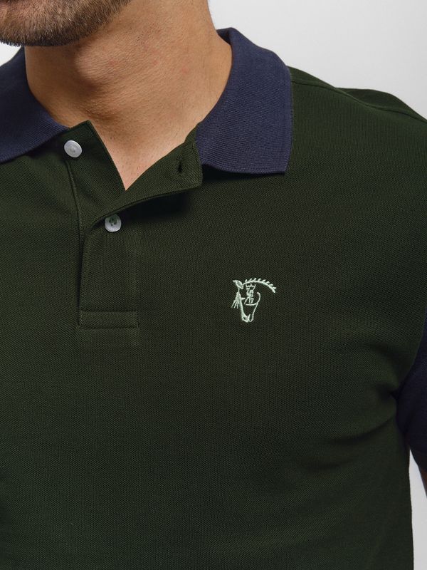 Polo Bicolor | Abeto