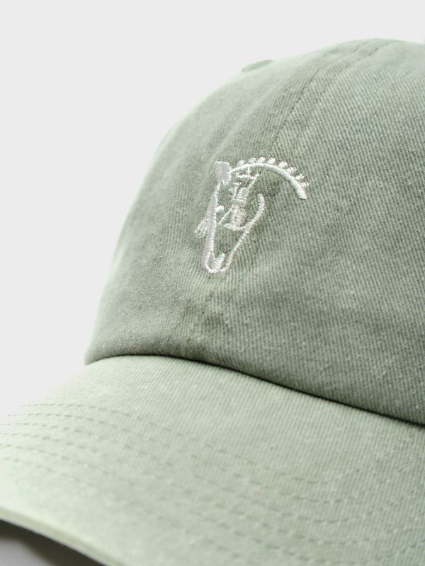 Boné Básico Lavado | Salvia