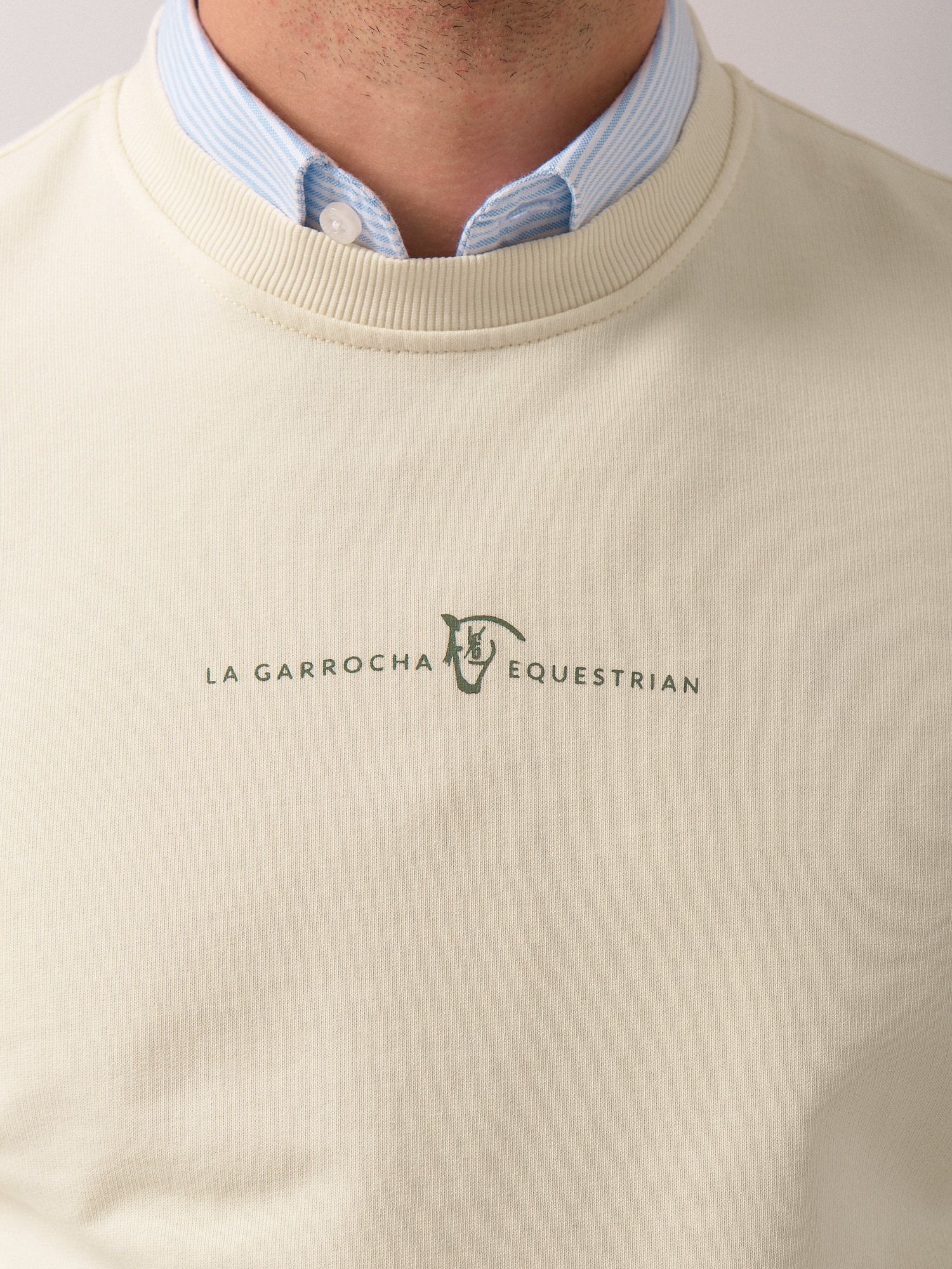 EQ Mini Sweatshirt | Verde Light