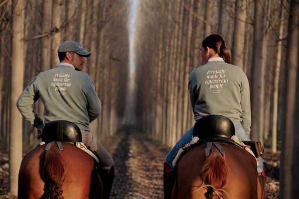 Sudadera Proudly | Basil