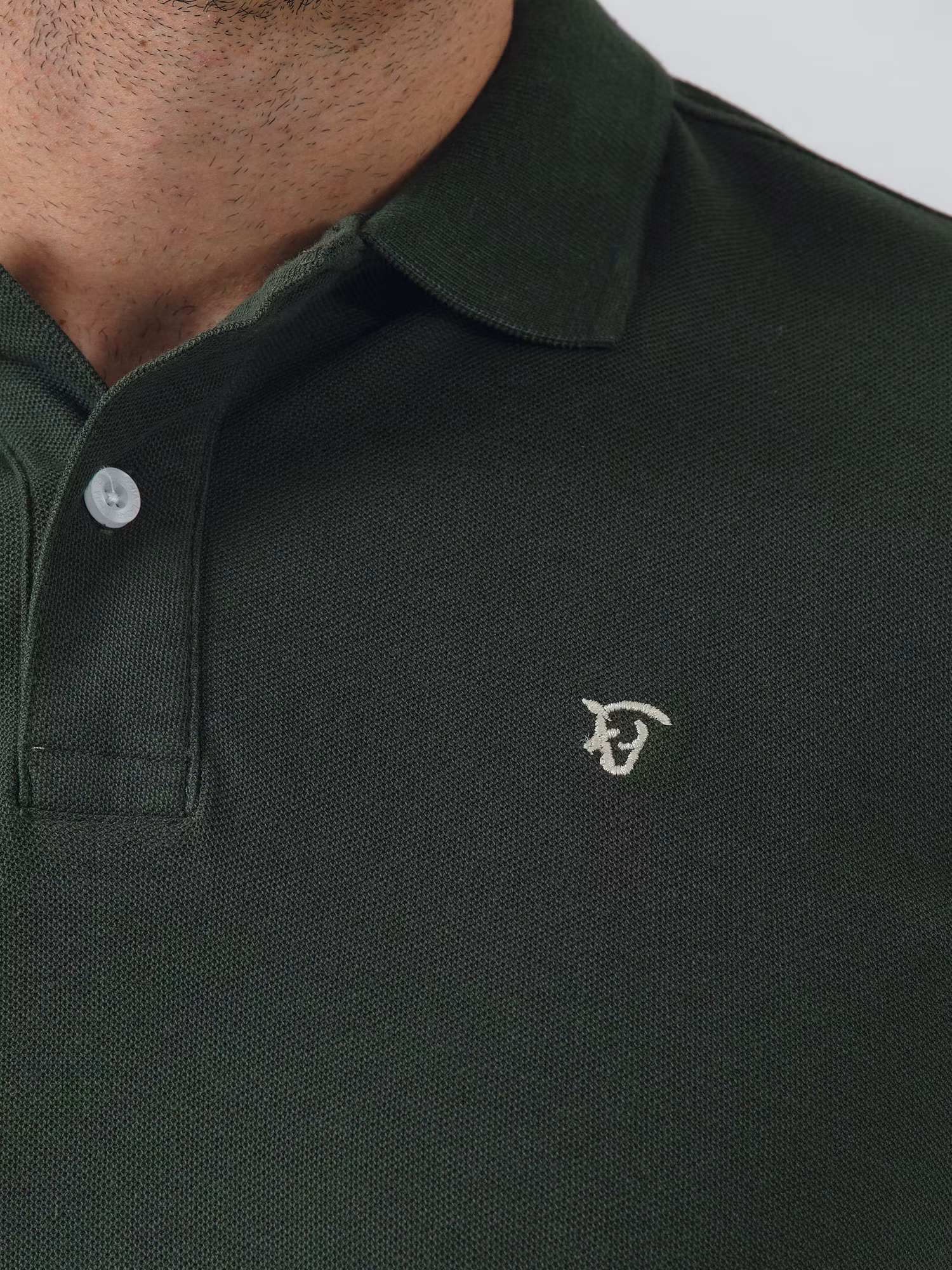 Polo Atelier | Abeto