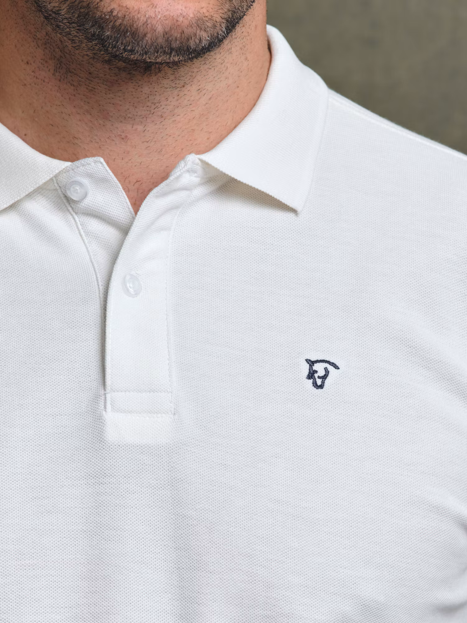 Polo Atelier | Crudo