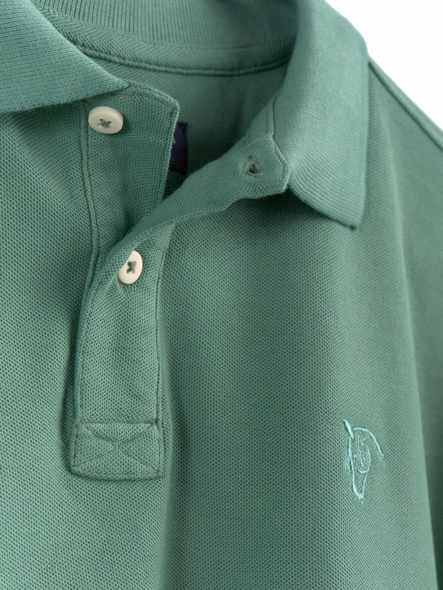 Polo Equestrian | Hiedra