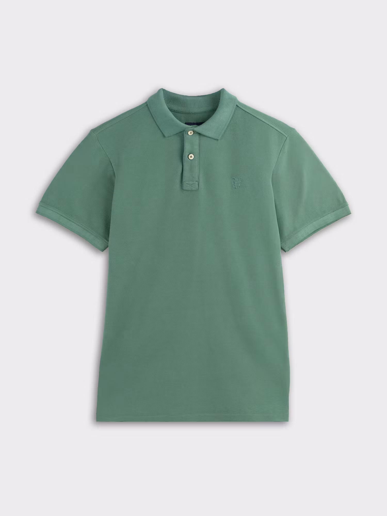 Polo Equestrian | Hiedra