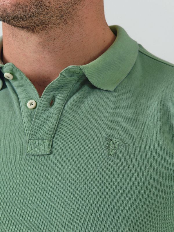 Polo Equestrian | Hiedra