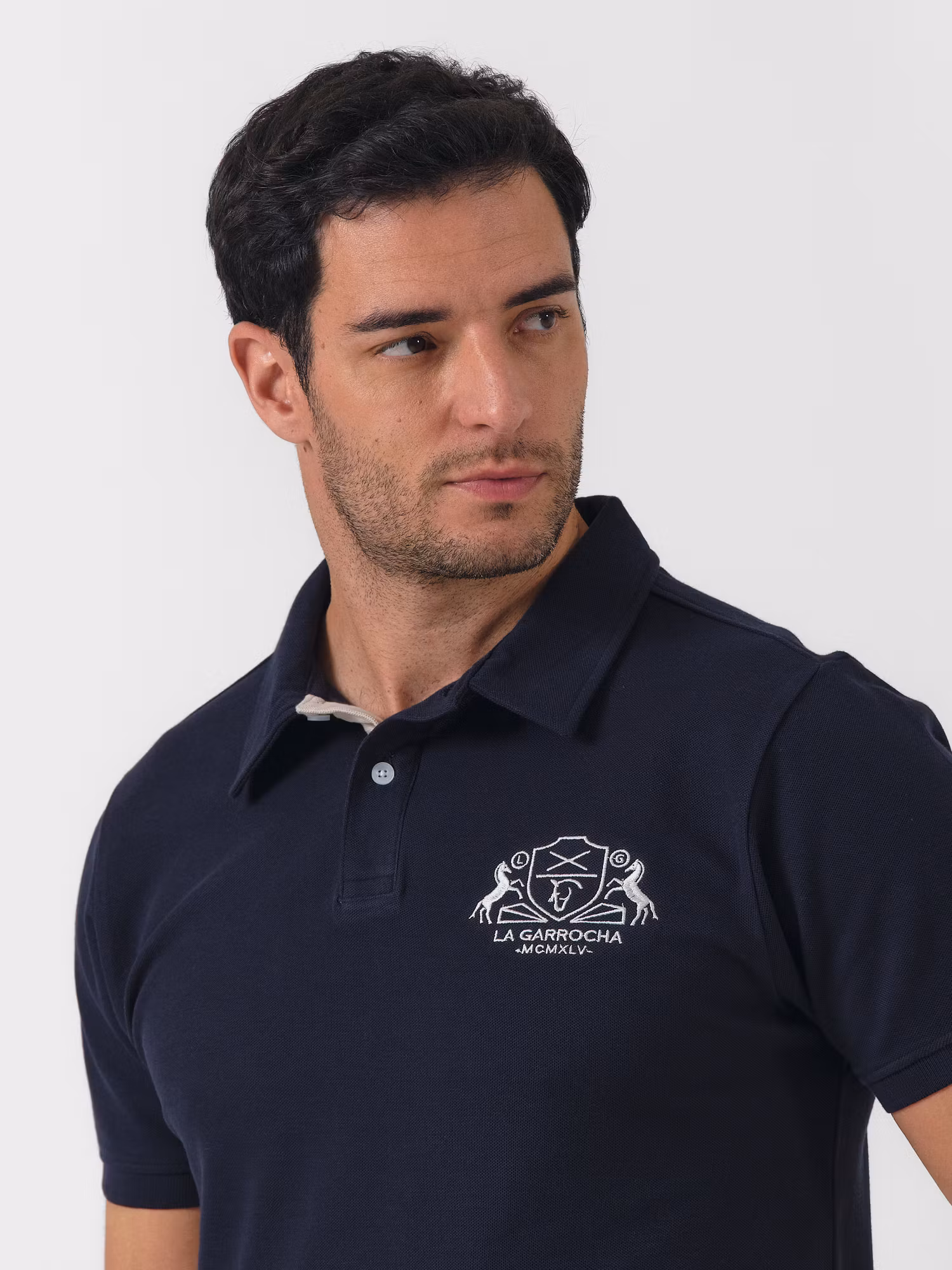 Polo Horses | Marino