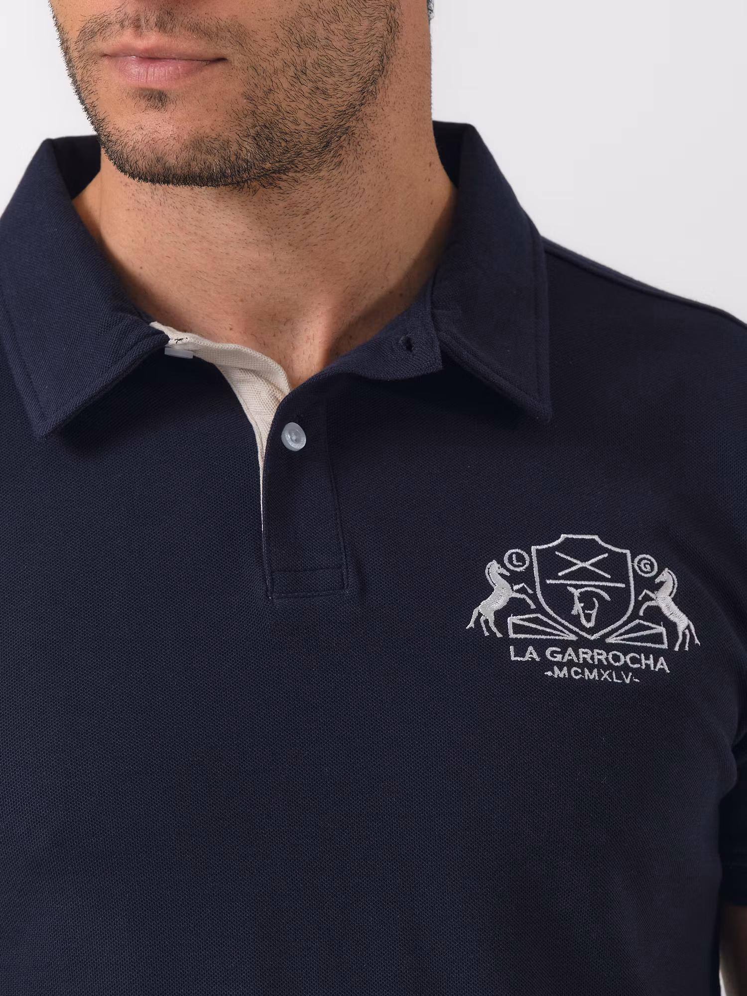 Polo Horses | Marino