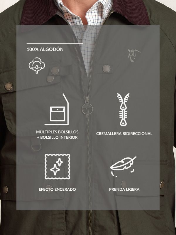 Jaqueta Kent | Musgo