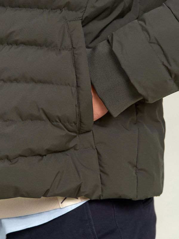 Jaqueta Equestrian | Musgo