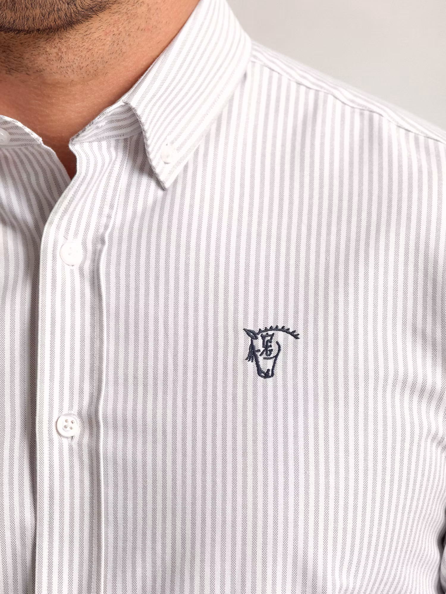 Striped Oxford Shirt | Gris