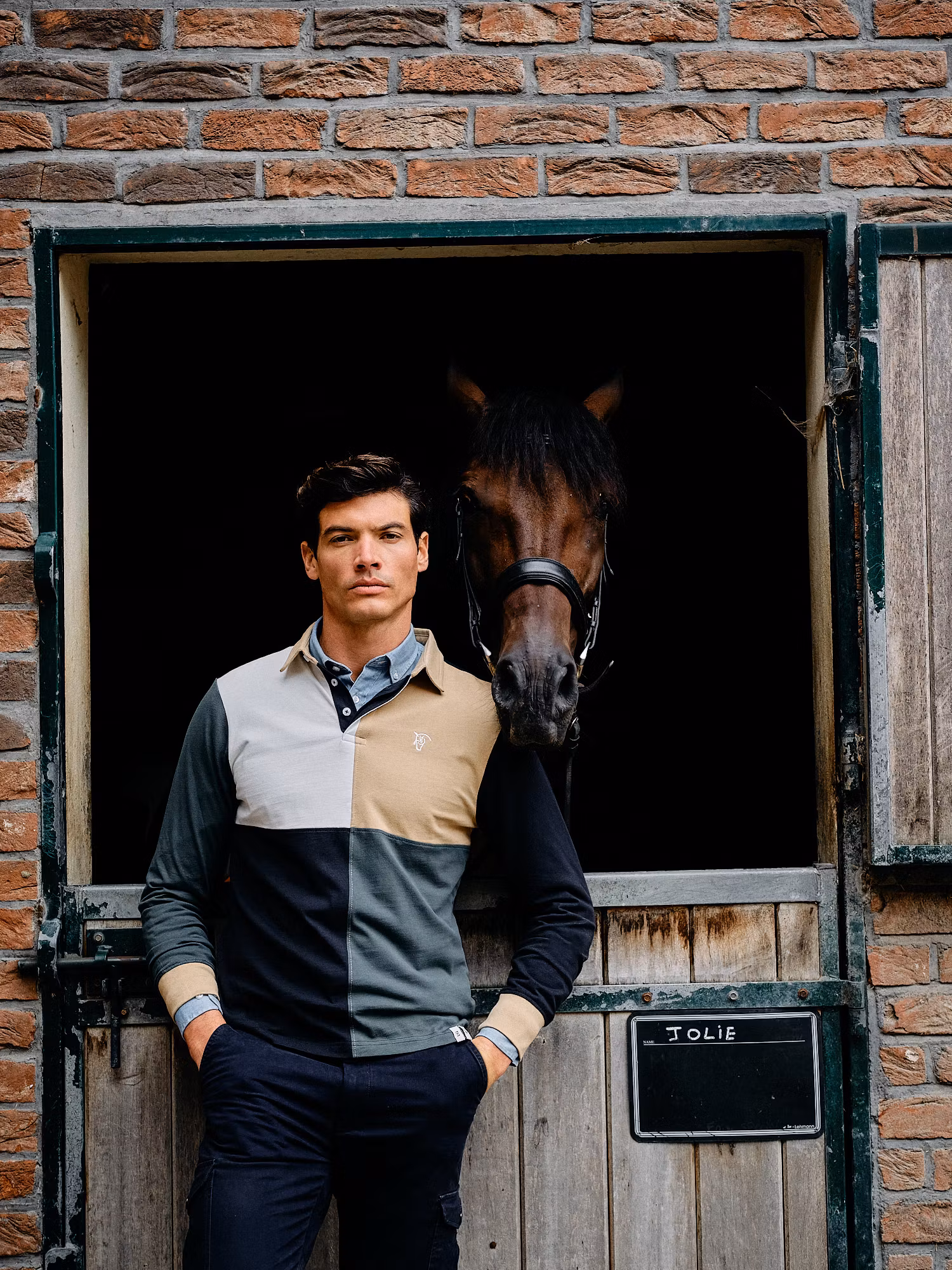 Polo Multicolor | Arena