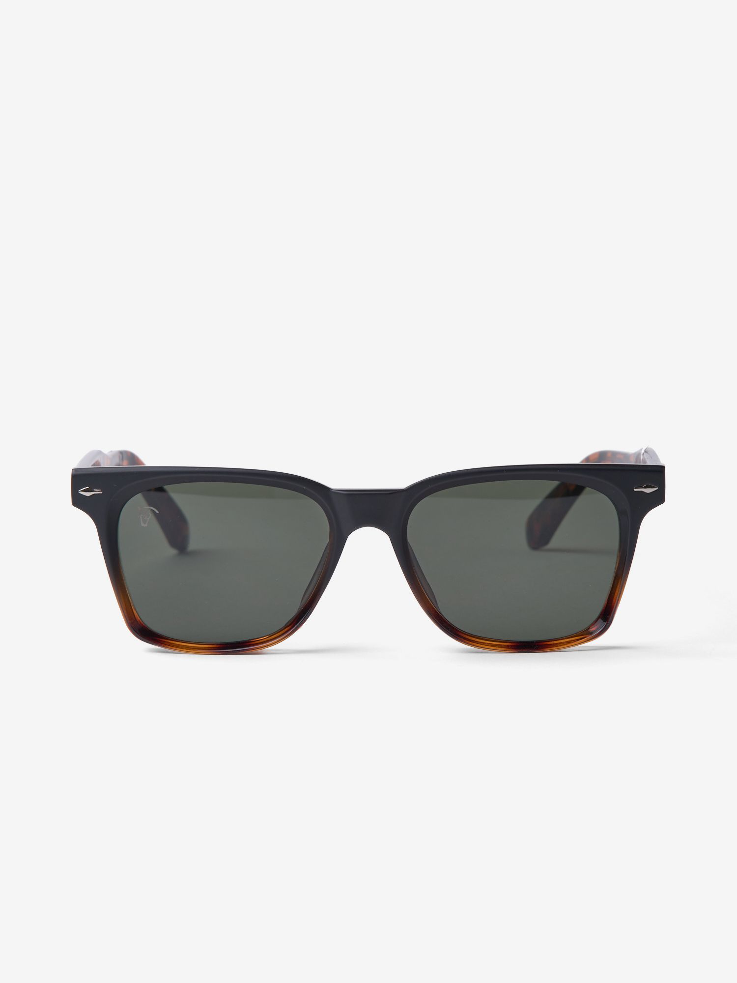 Hydra Sunglasses | Negro
