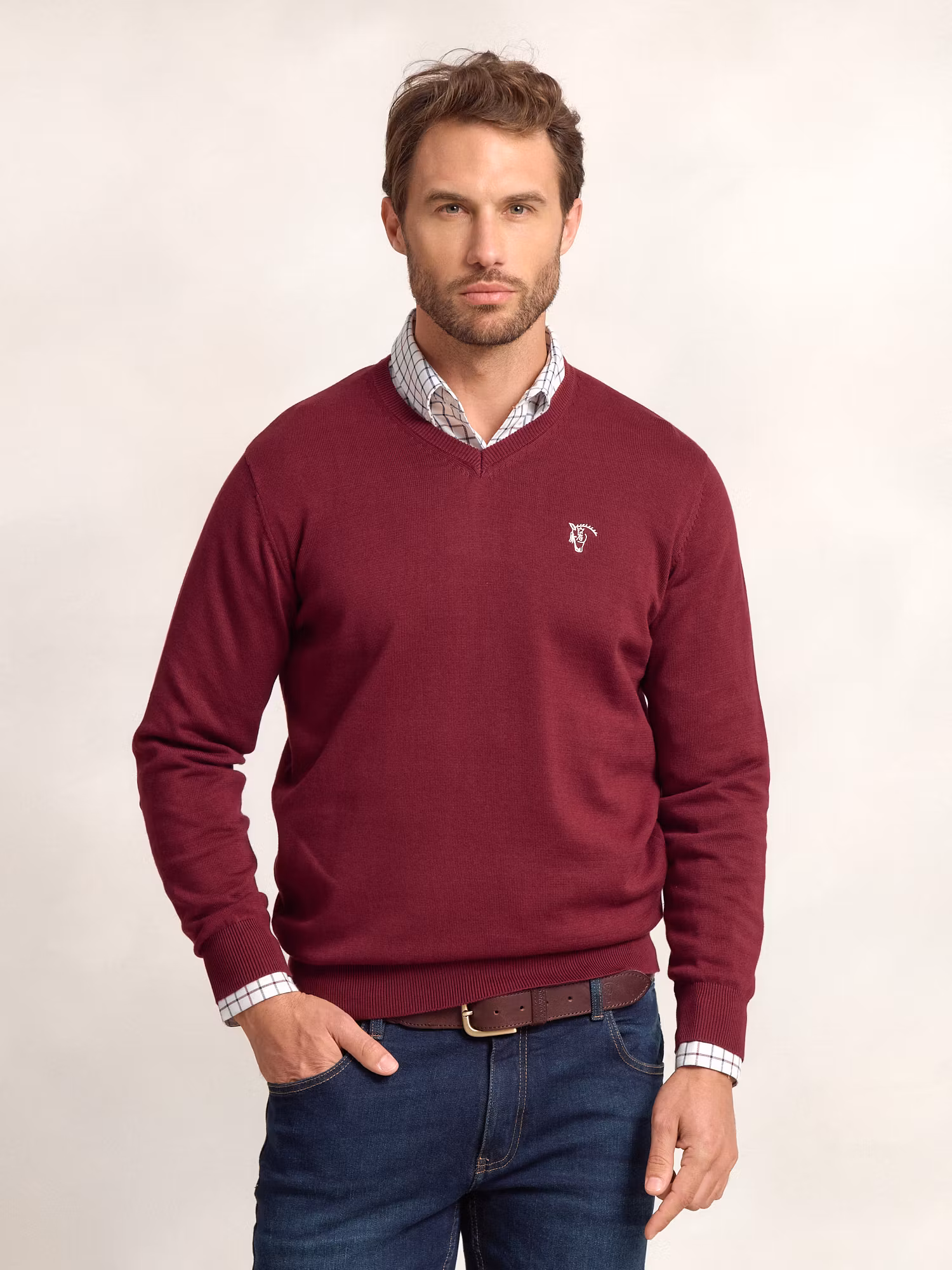 Pull col V avec coudières | Burgundy