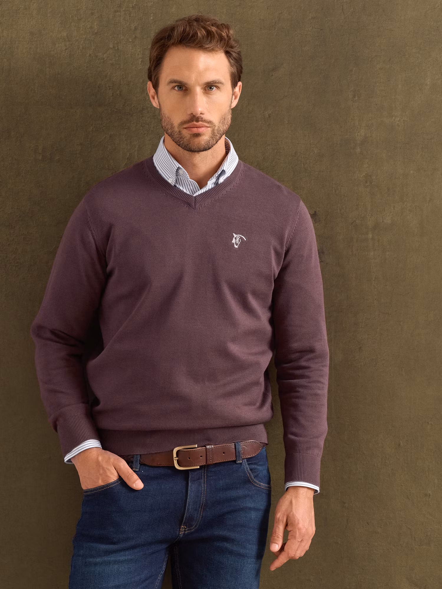 Pull Col V avec Coudières | Malva