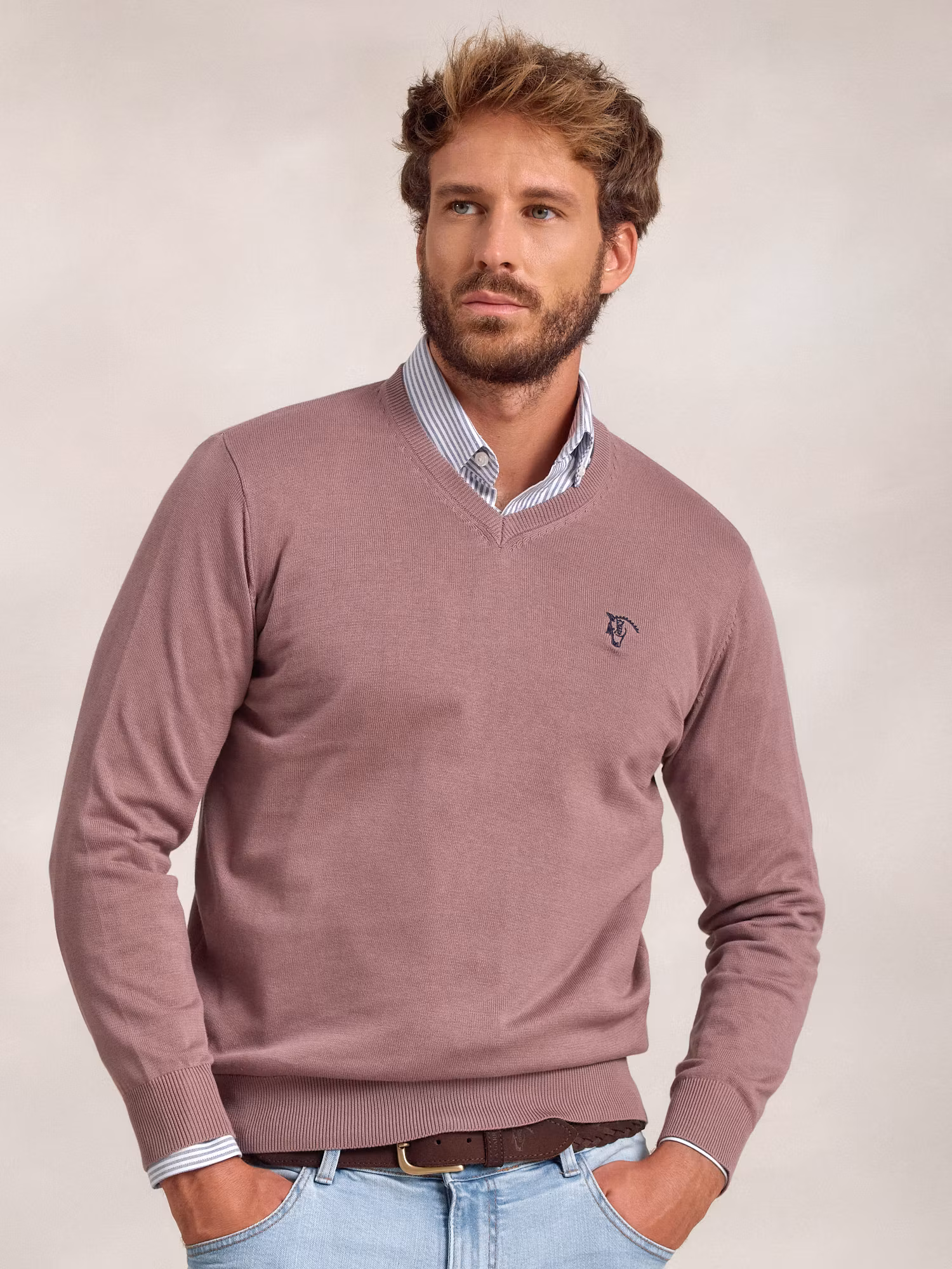 Pull-over col V | Lavanda