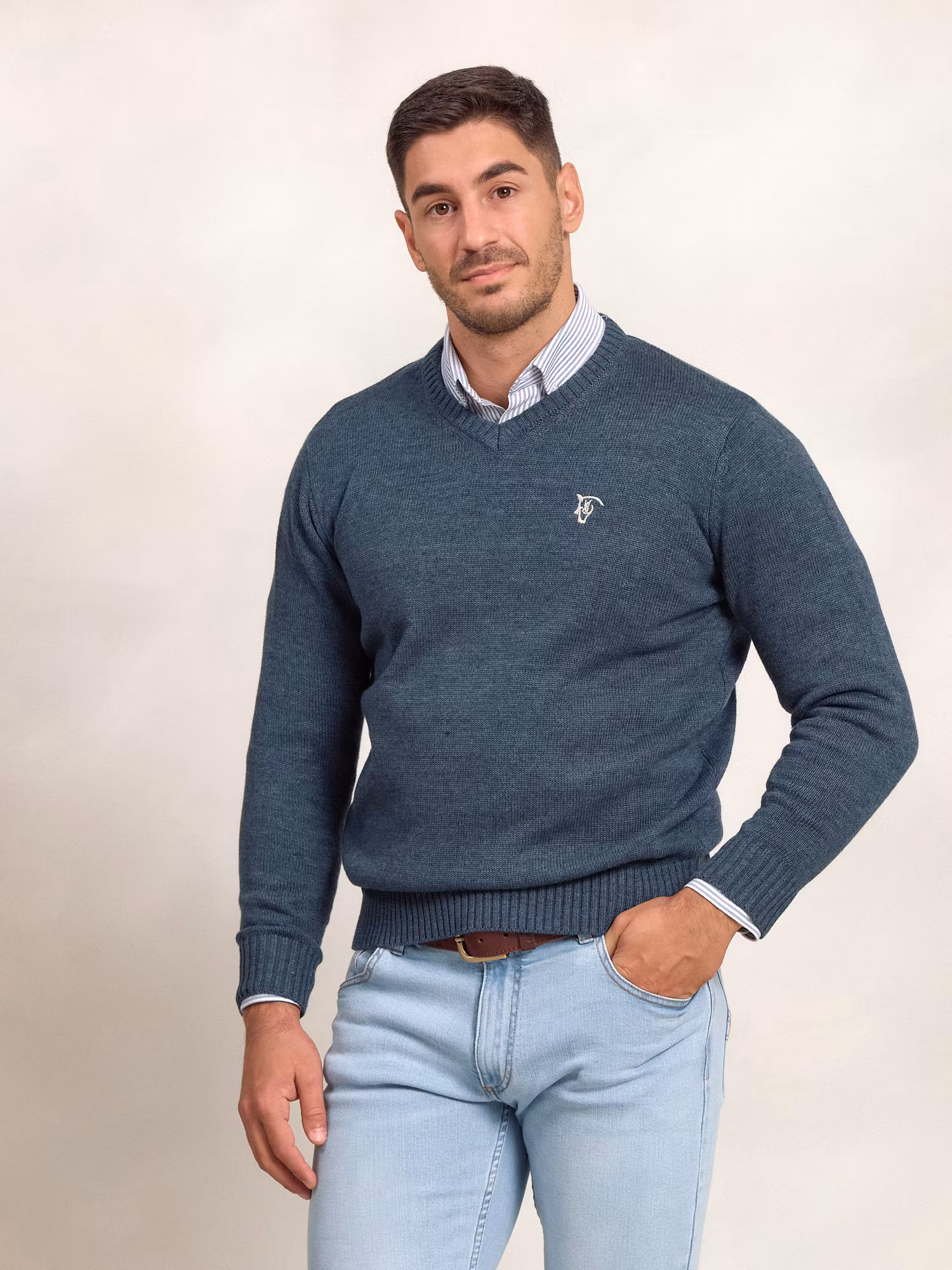 Pull Col V Équestre | Azul Lago