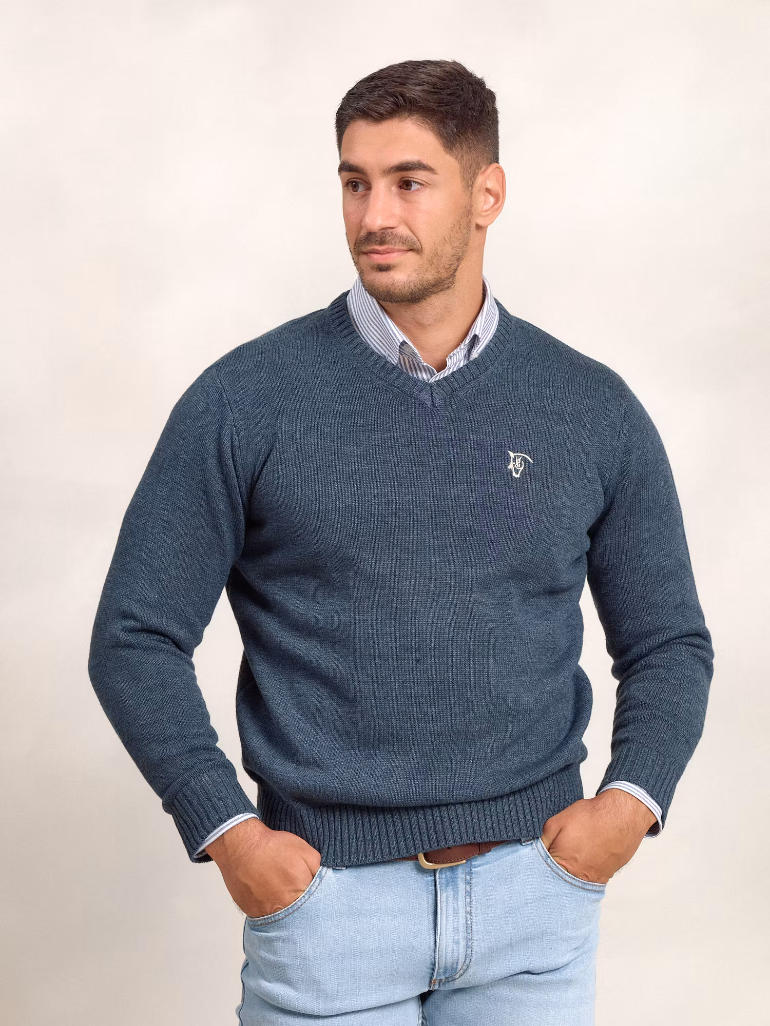 Pull Col V Équestre | Azul Lago