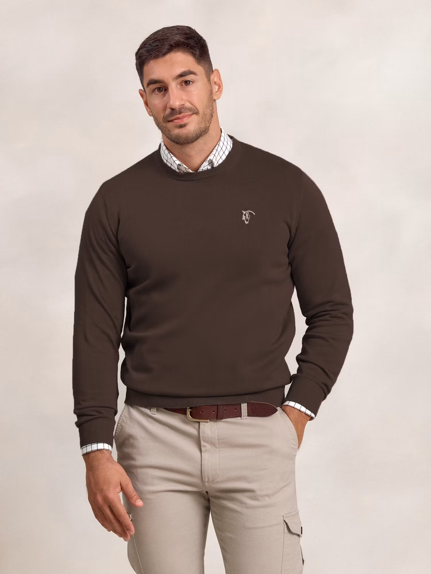 Pull-over col rond  | Moka