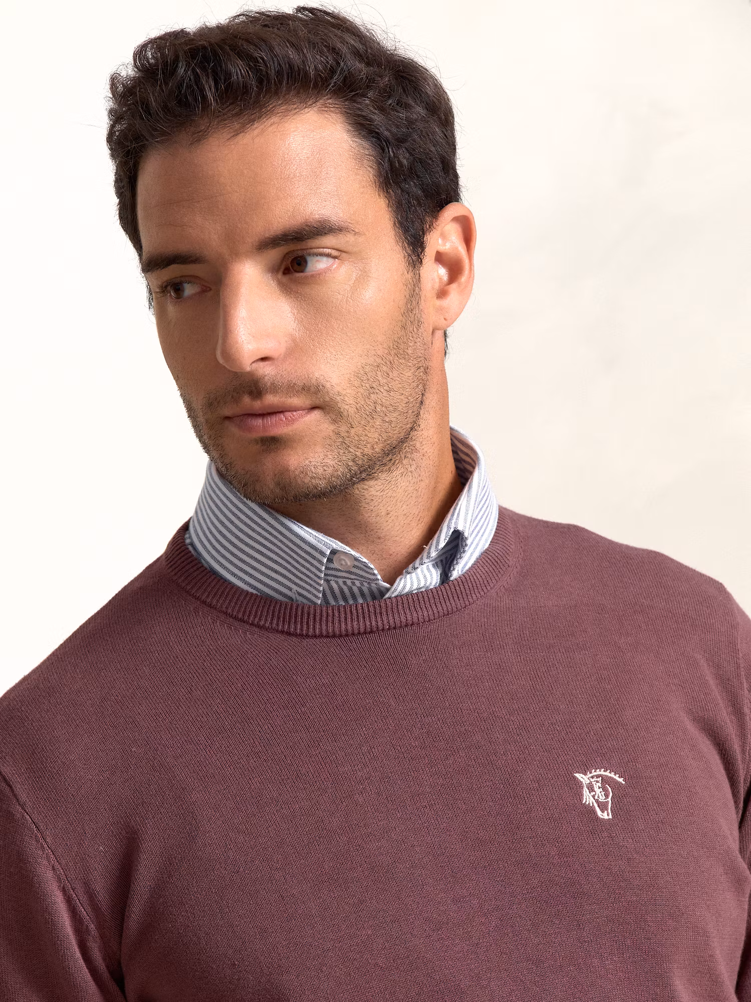 Pull-over col rond  | Malva