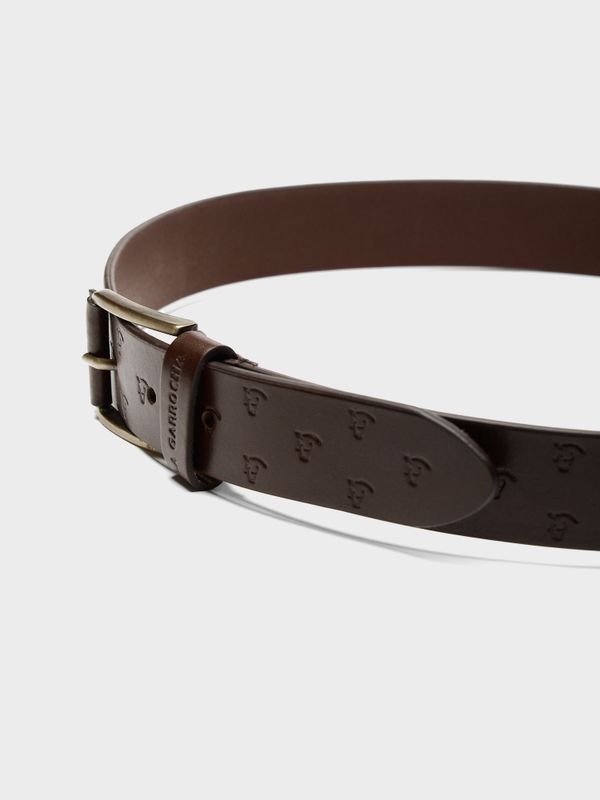 Cinturón Trote | Chocolate