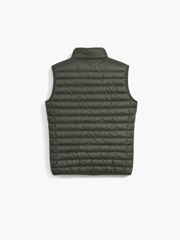 Colete Acolchoado | Abeto