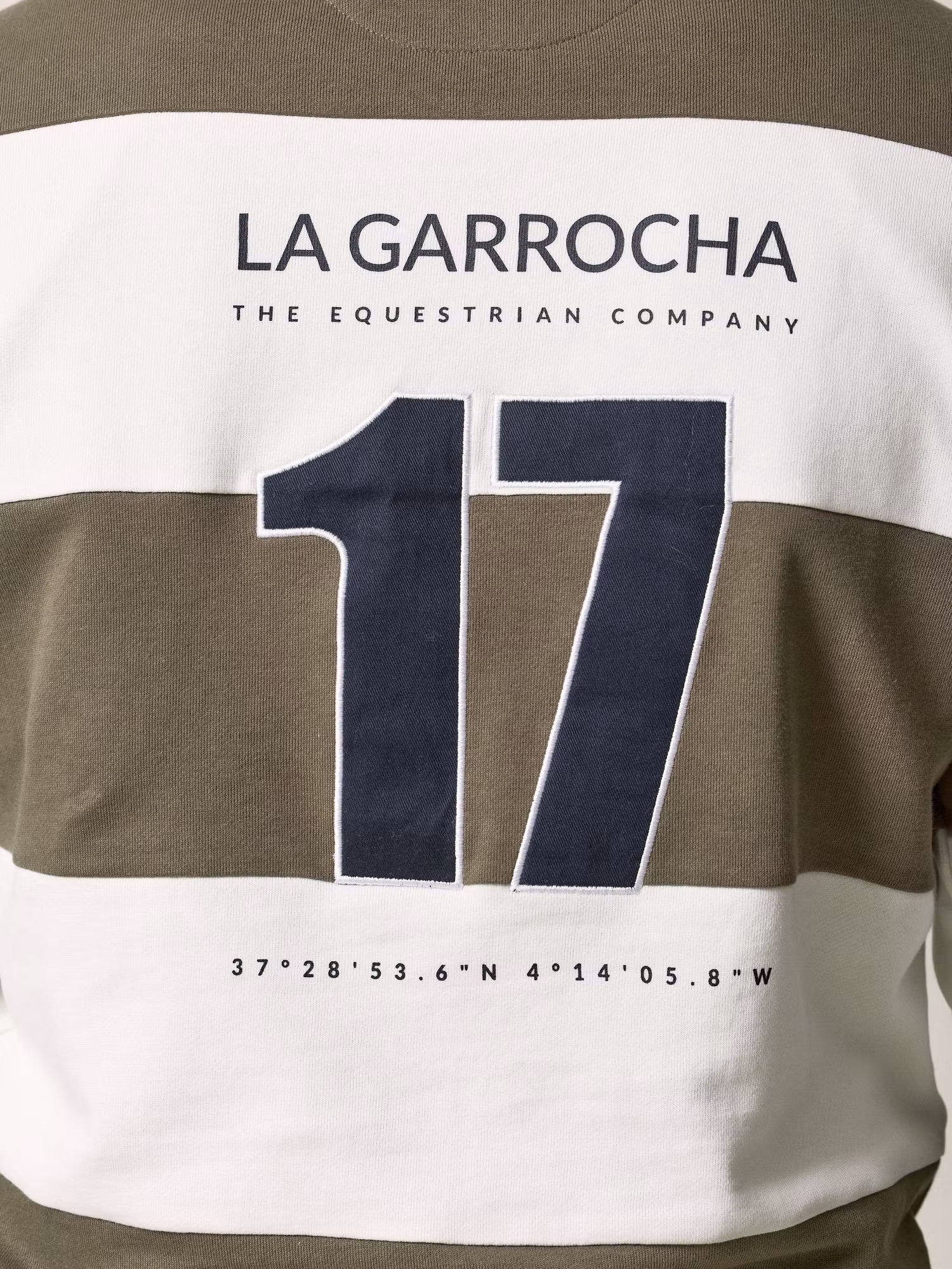 Polo Collar Striped Sweatshirt | Olive Green