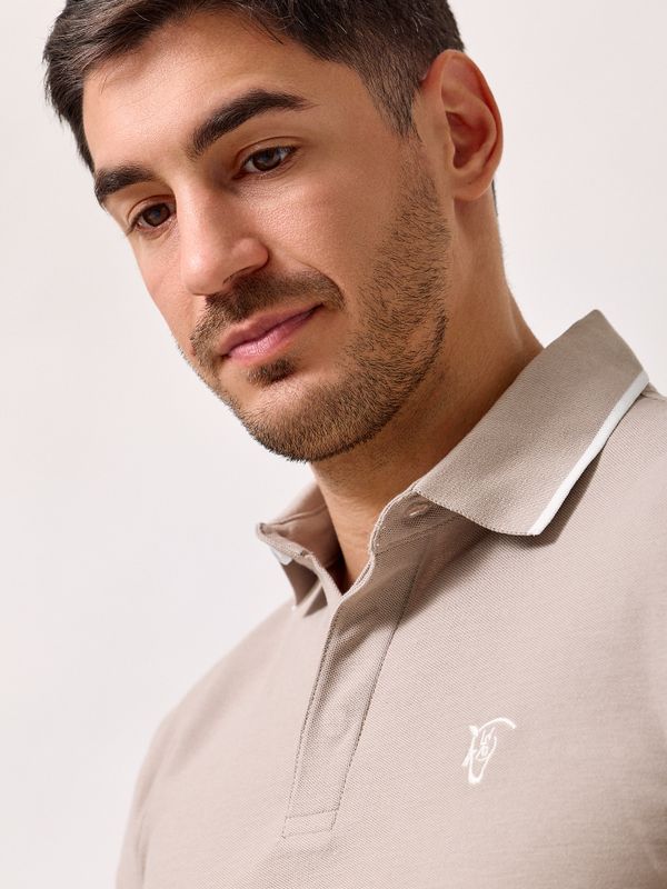 Polo Equestrian | Pierre