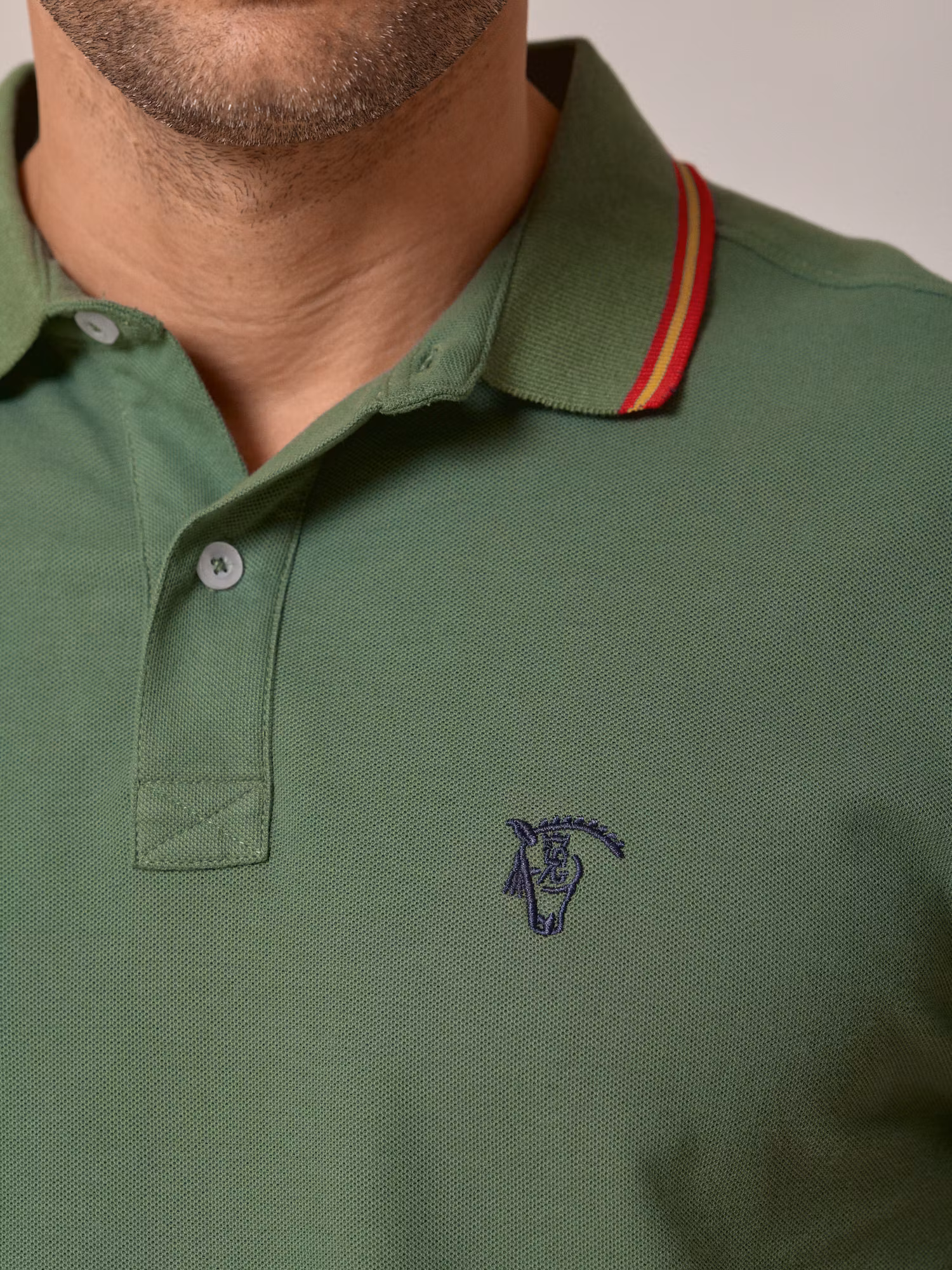 Polo Edição Especial | Verde Hera