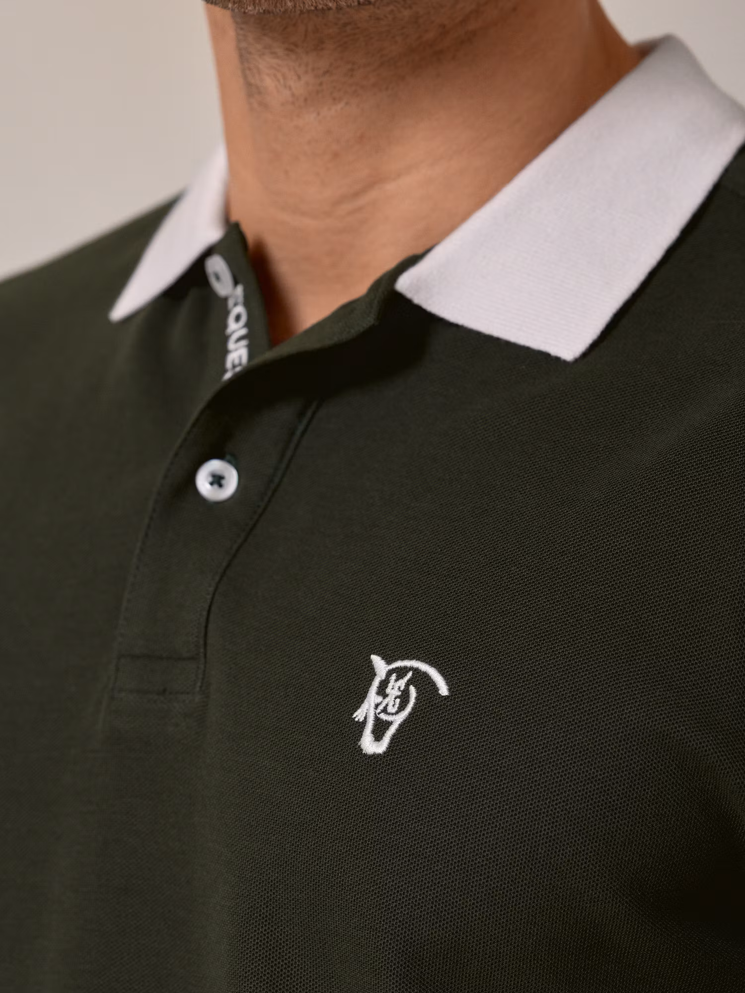 Polo Técnico | Abeto