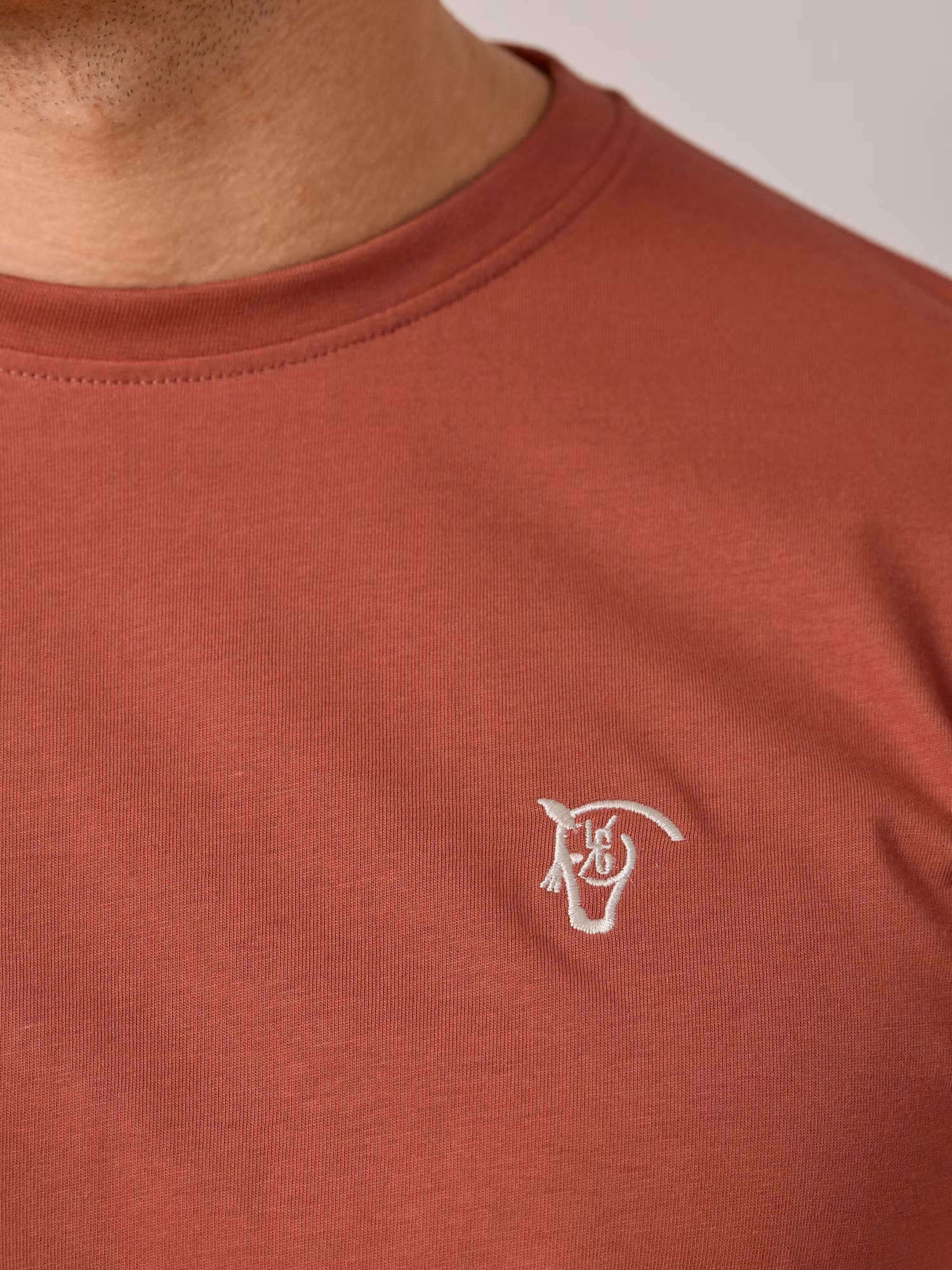 Camiseta Básica EQ | Terracota