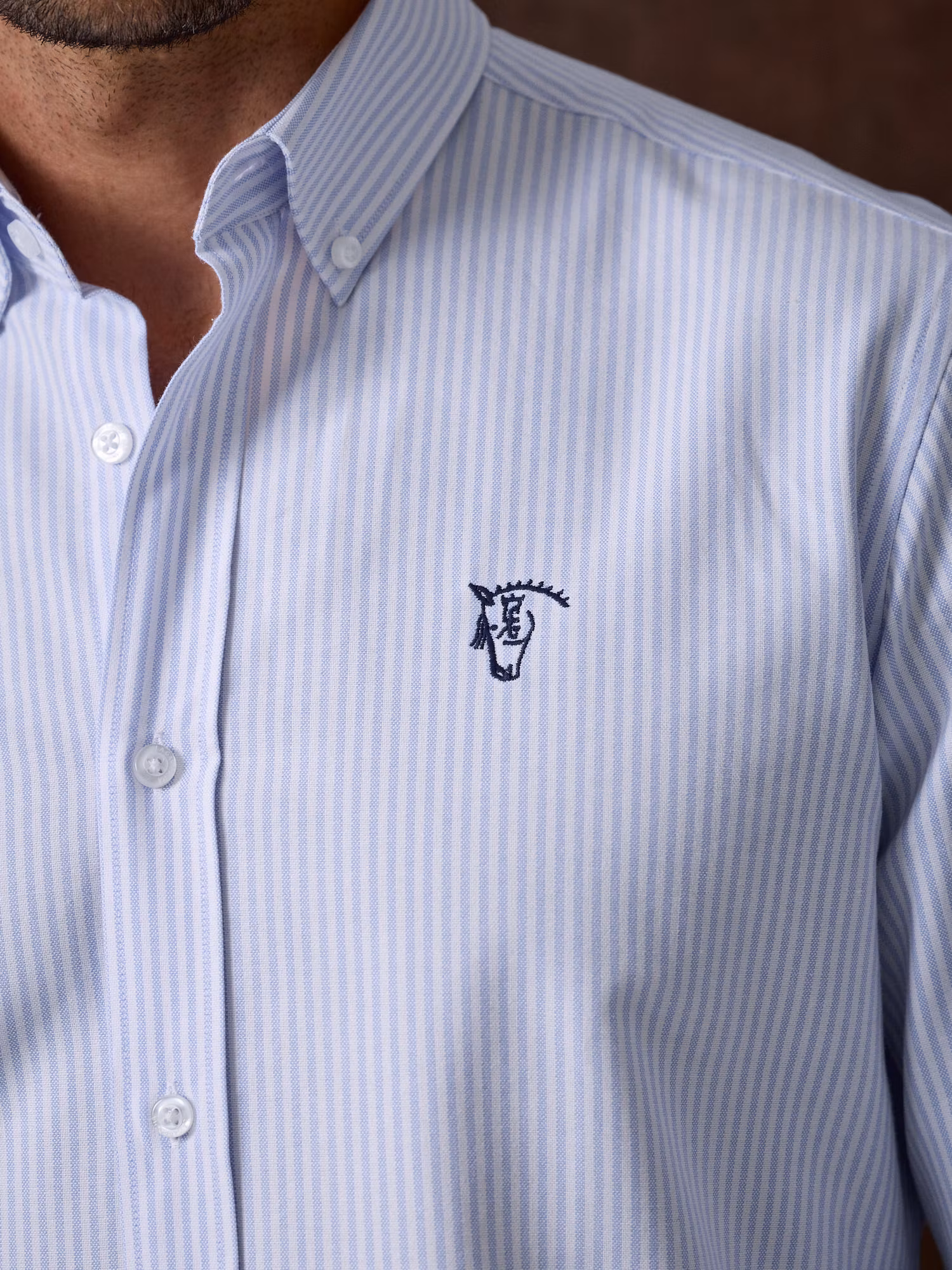Camisa Oxford Listrada | Azul Celeste