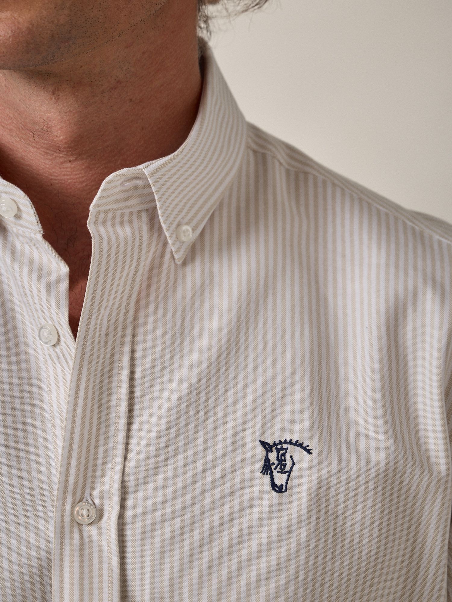 Camisa Oxford Listrada | Camel