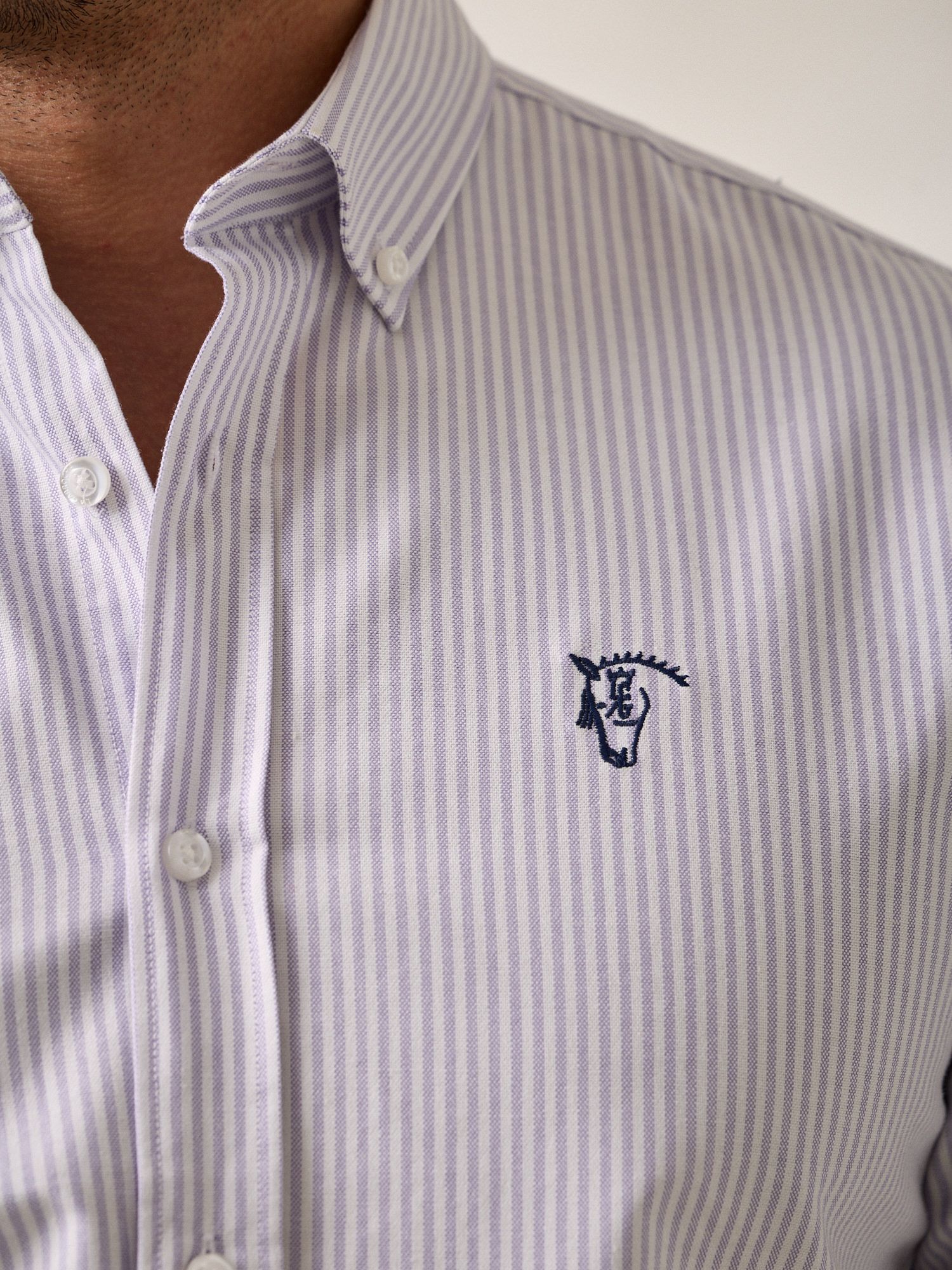 Camisa Oxford Listrada | Malva