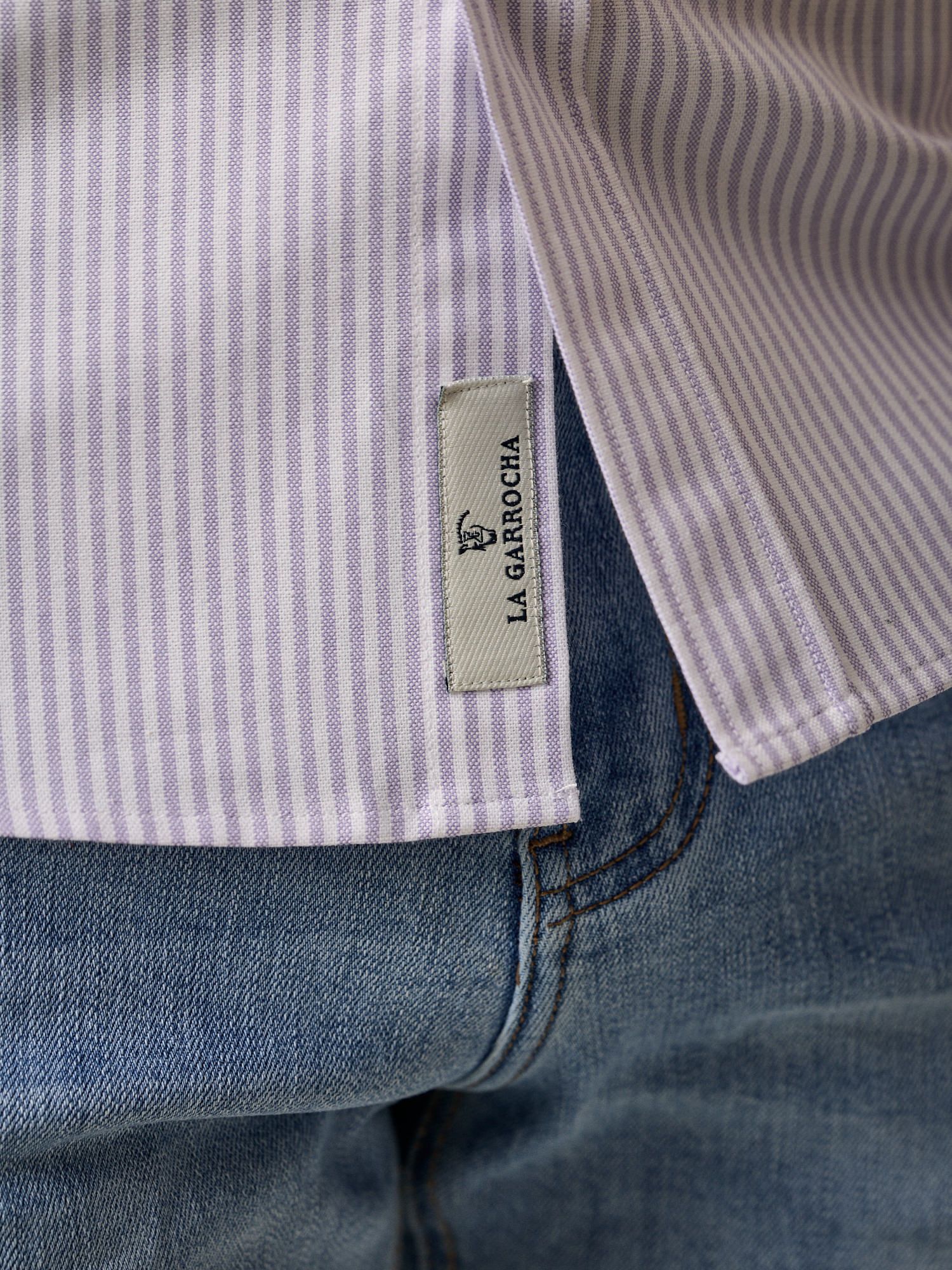 Camisa Oxford Listrada | Malva