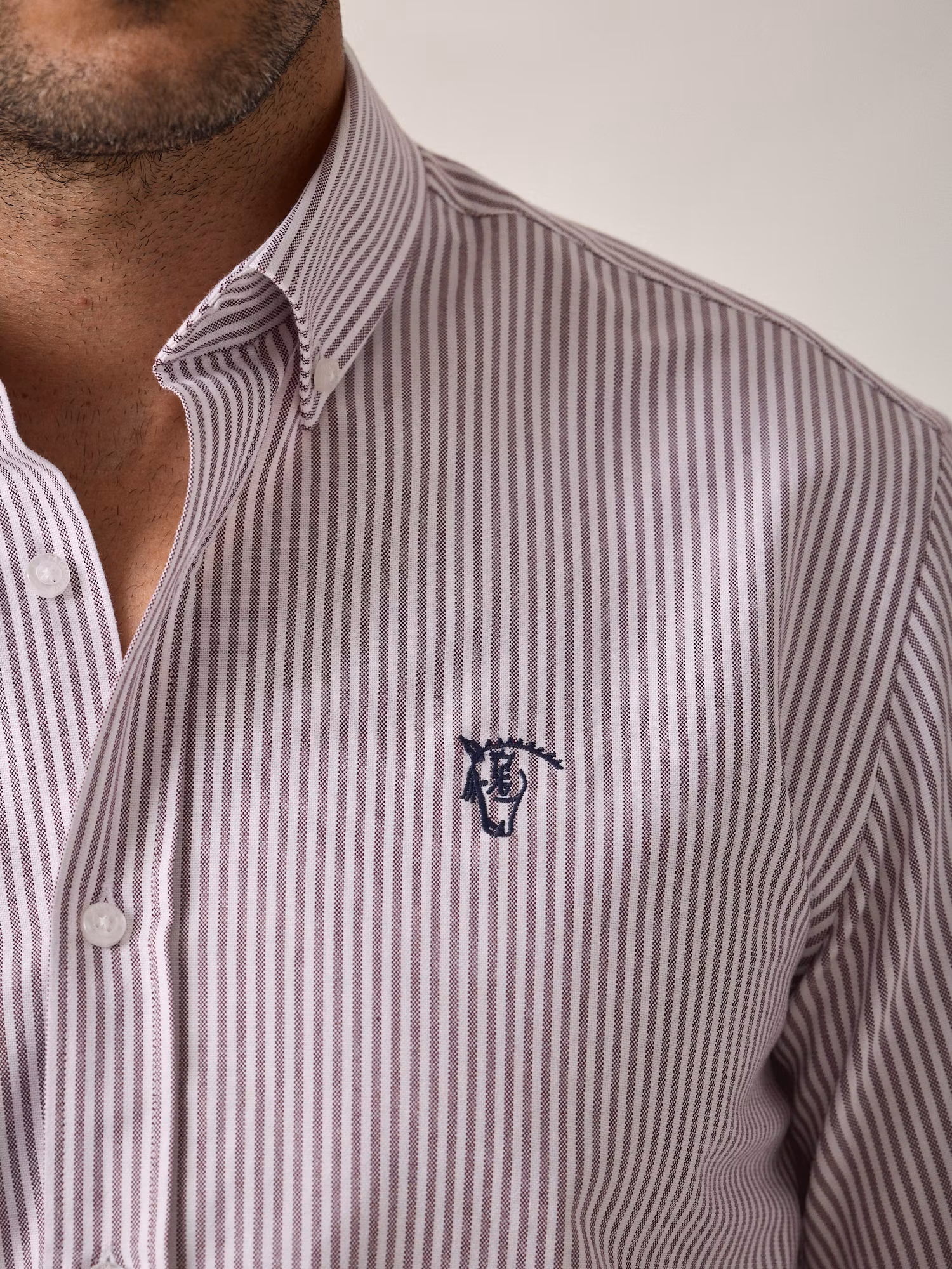 Camisa Oxford Listrada | Vinho