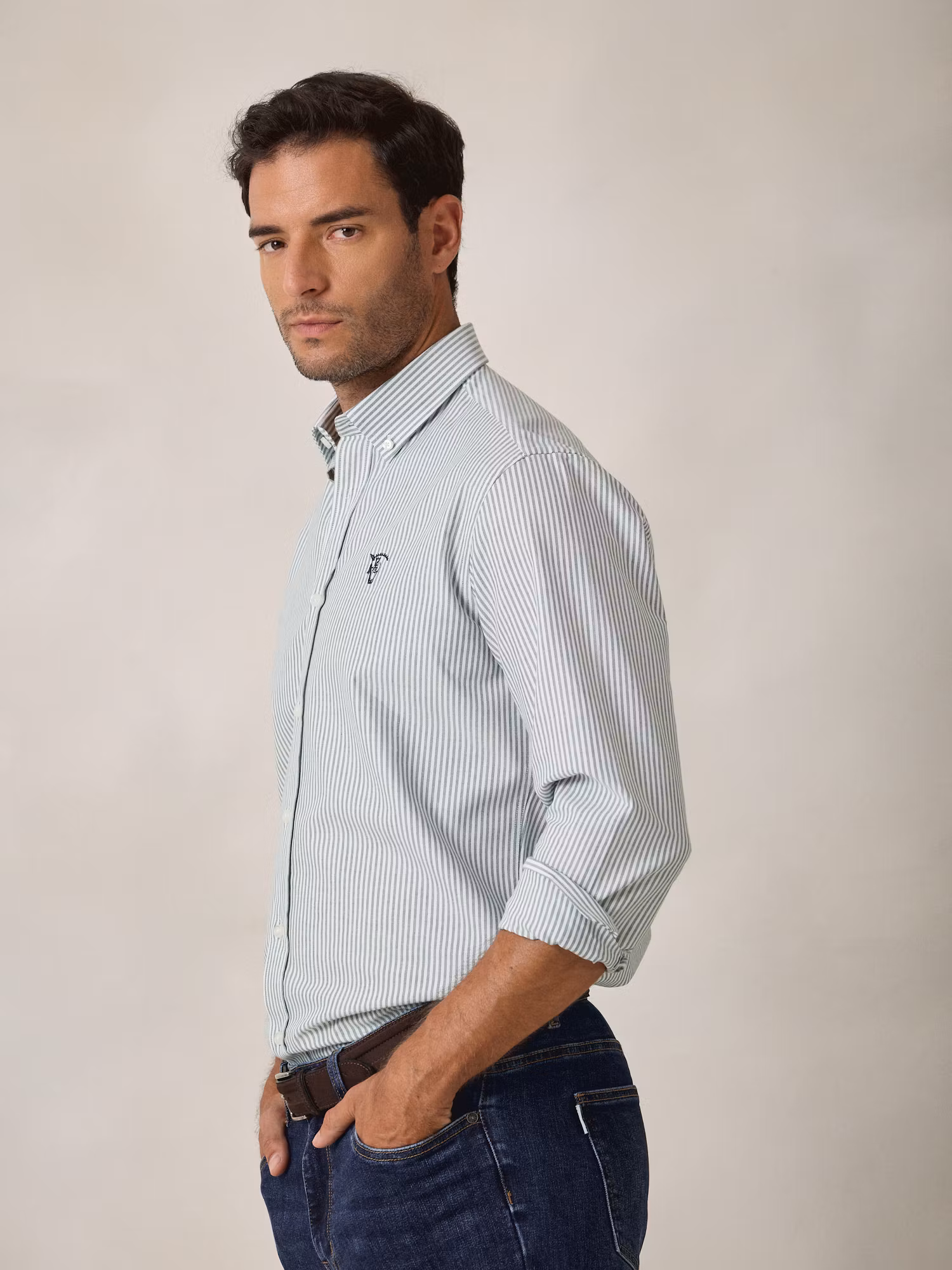 Camisa Oxford Listrada | Verde Abeto