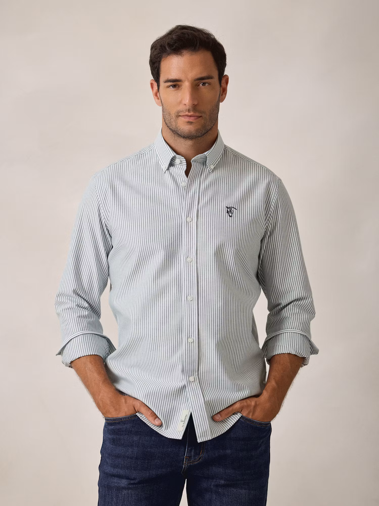 Camisa Oxford Listrada | Verde Abeto