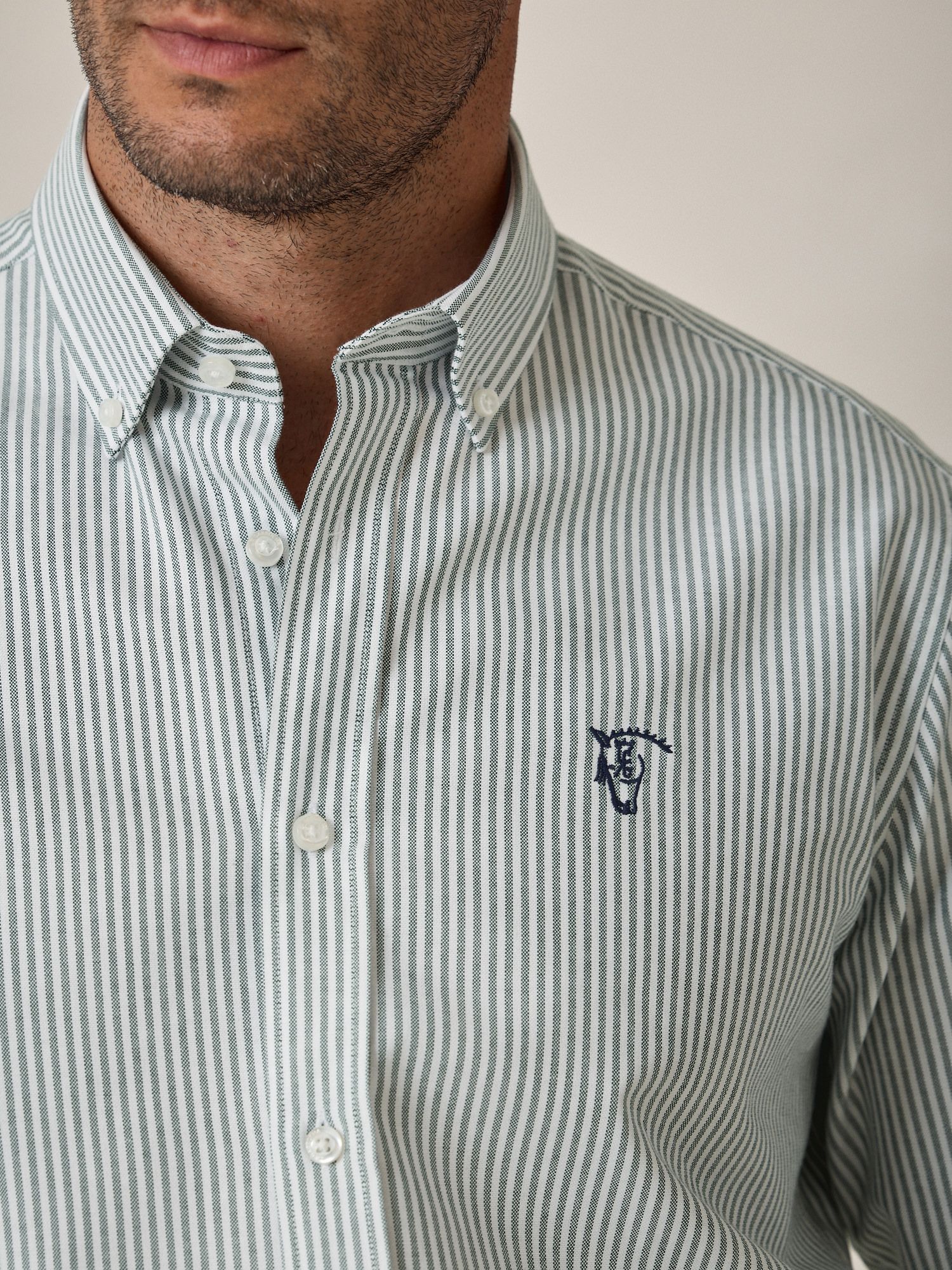 Camisa Oxford Listrada | Verde Abeto