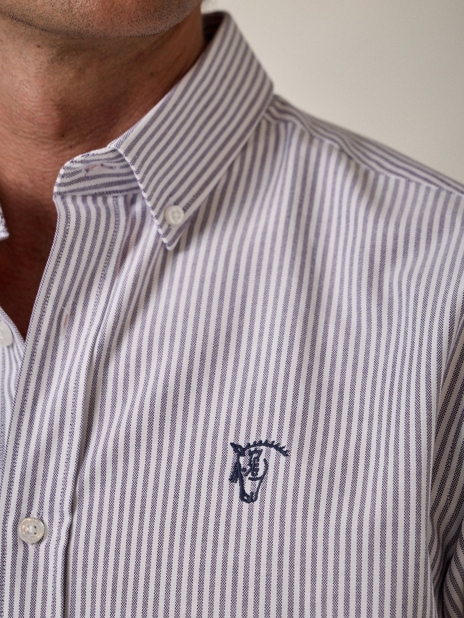 Camisa Oxford Listrada | Amora