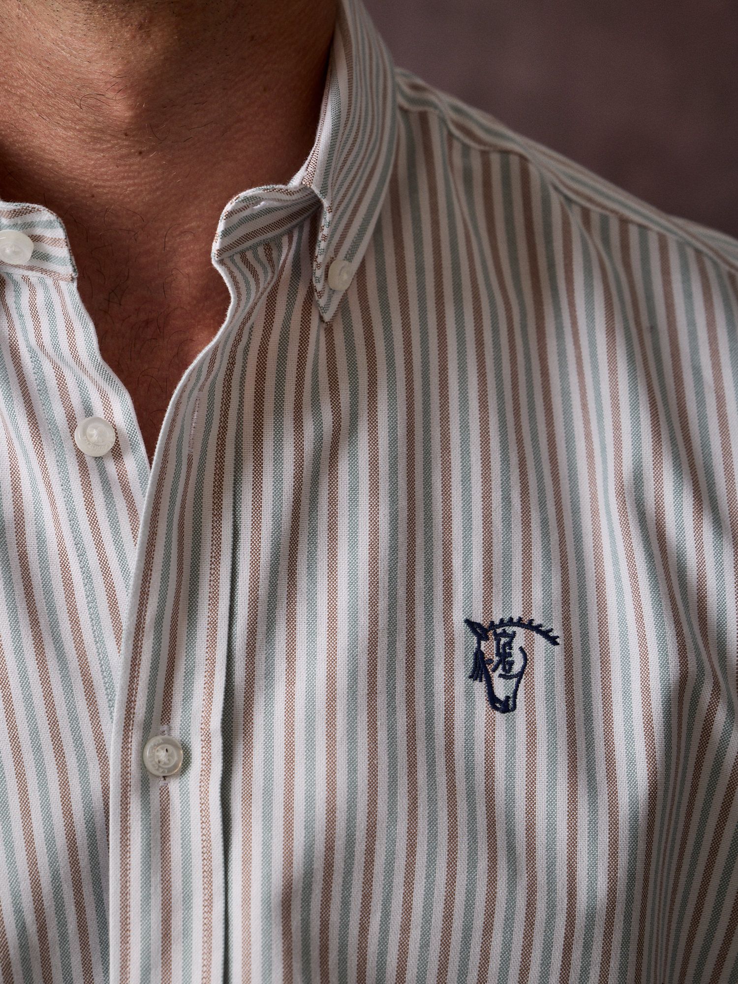 Chemise Oxford à rayures multicolores | Verde