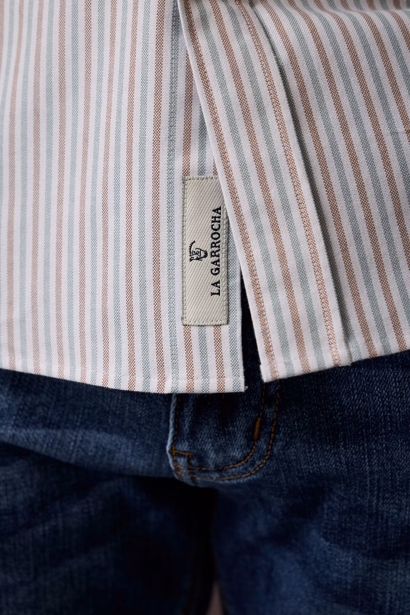 Chemise Oxford à rayures multicolores | Verde