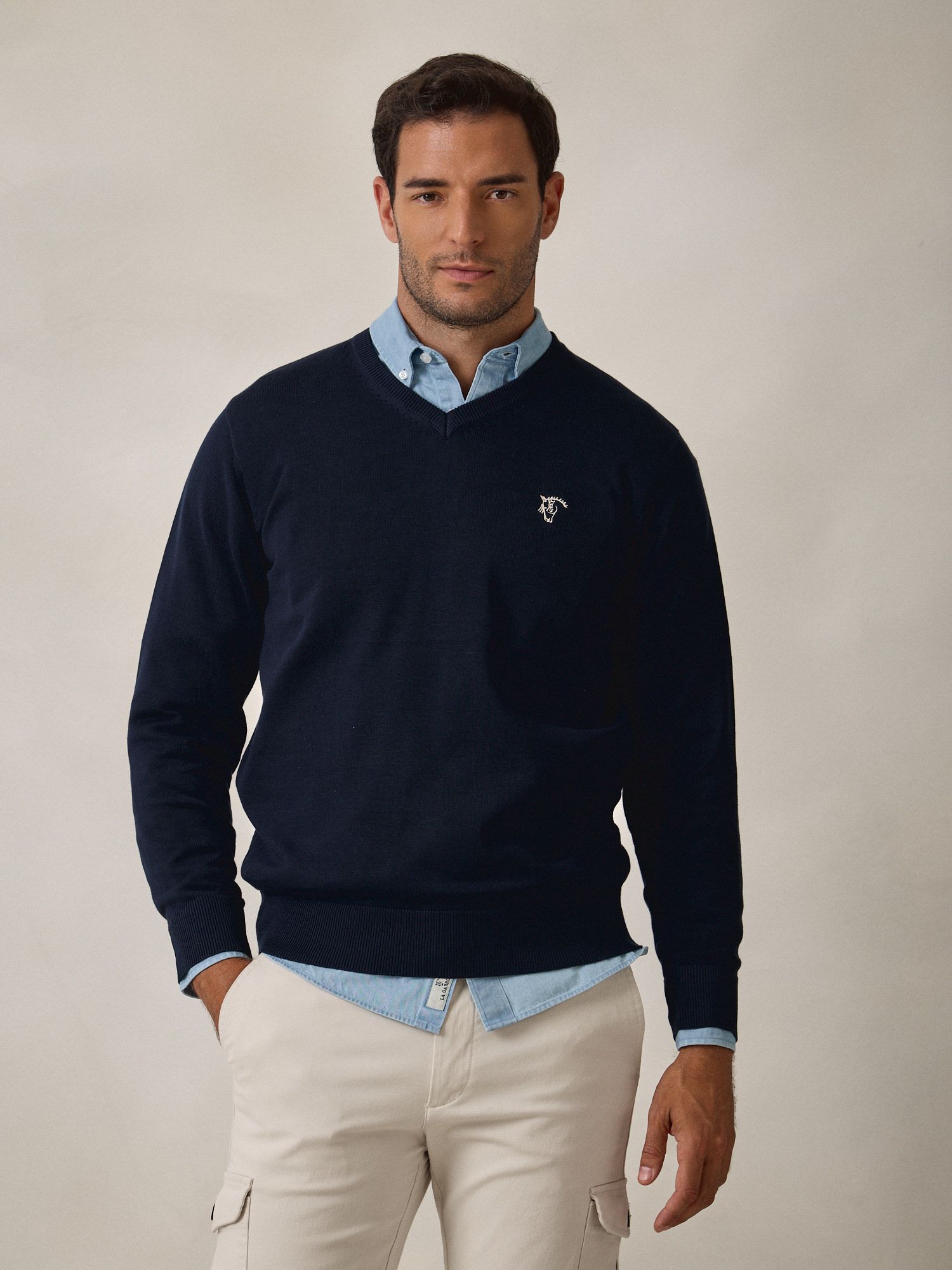 Pull-over col V | Bleu Marine