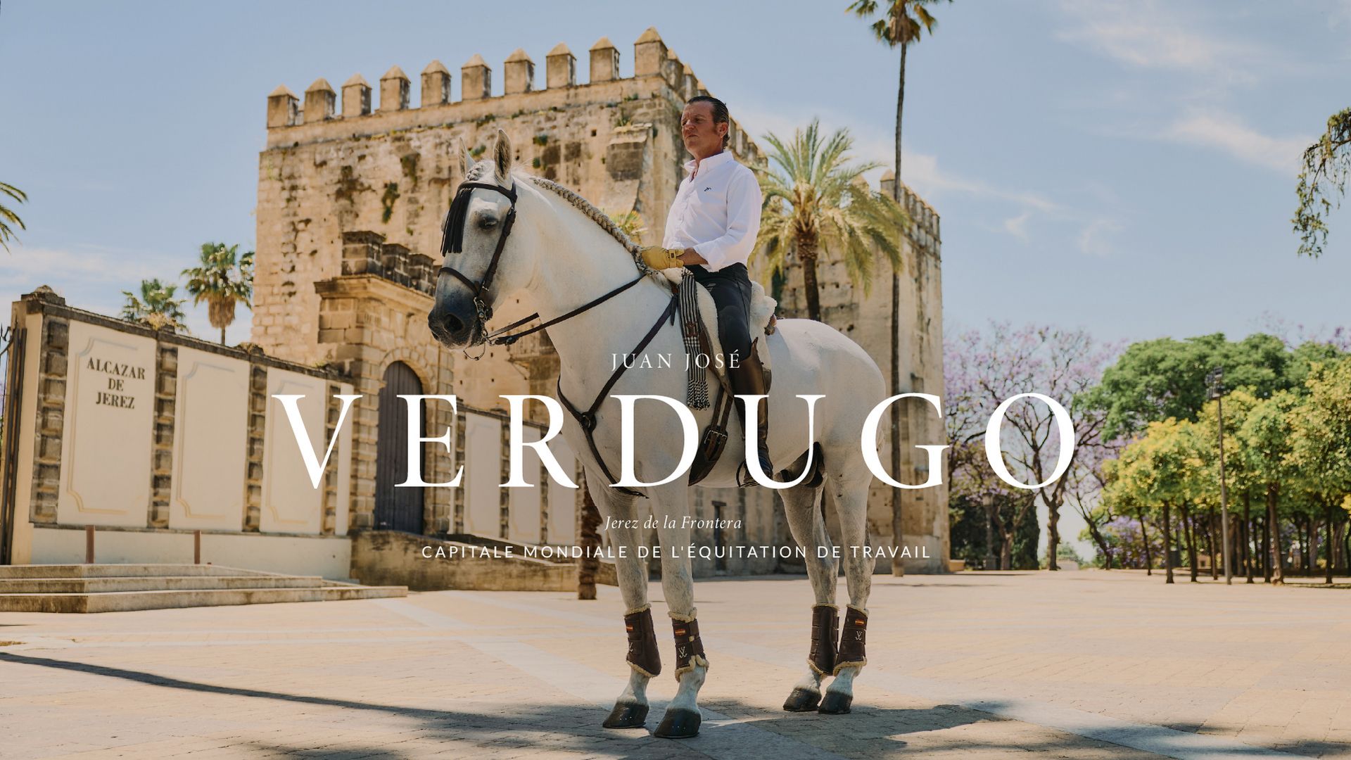 BANNER VERDUGO - FR